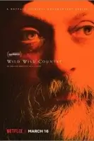 Дикая-дикая страна смотреть онлайн сериал 1 сезон бесплатно в HD