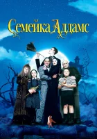 Семейка Аддамс смотреть онлайн (1991) бесплатно в HD